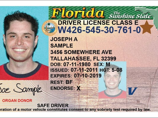 Florida Driver License Template Download